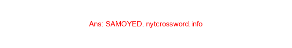 Siberian sled dog NYT Crossword Clue